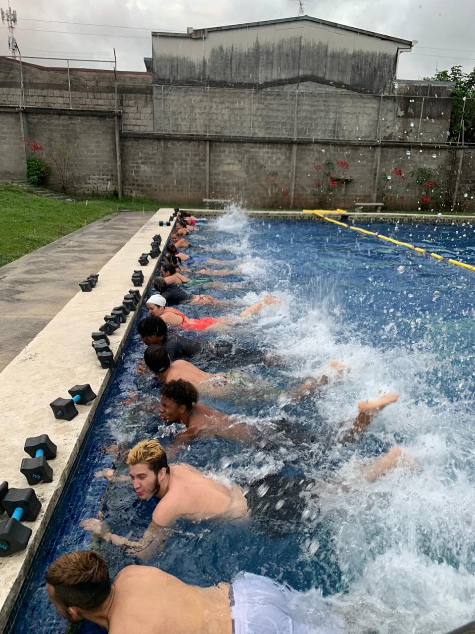 Proceso de aprendizaje en Gold Swimming