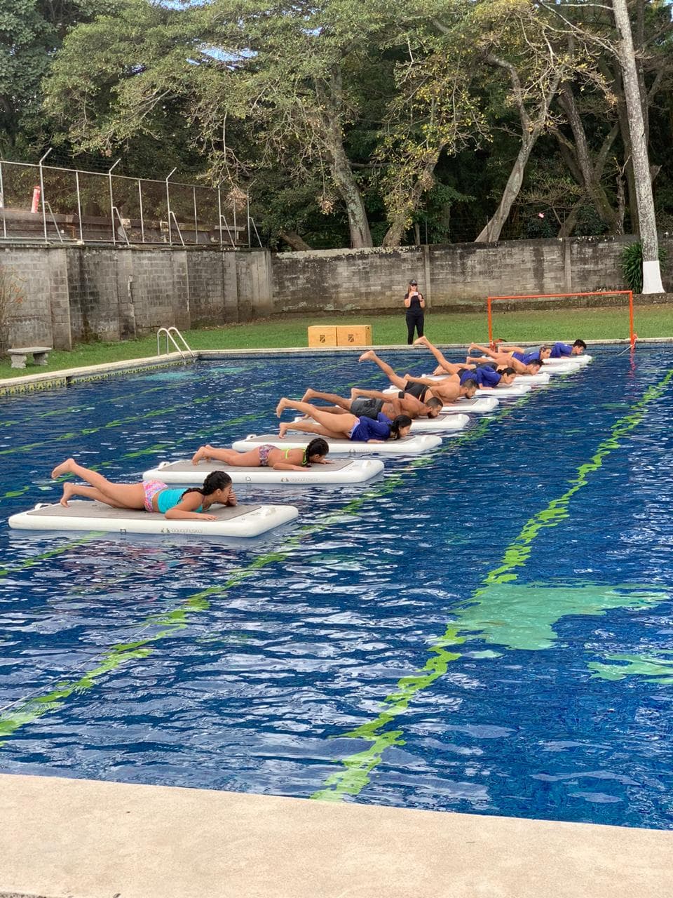 Formacion acuatica en Gold Swimming